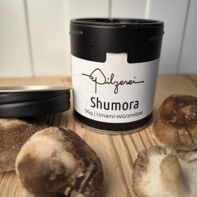 Fermentiertes Shiitake Umami Gewürz